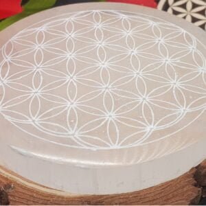 Fleur de vie en Sélénite